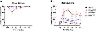 Assessment of behavioral, neuroinflammatory, and histological responses in a model of rat repetitive mild fluid percussion injury at 2 weeks post-injury